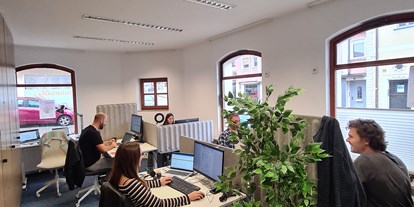 Coworking Spaces - feste Arbeitsplätze vorhanden - Deutschland - Flex Coworking Bereich - SPACS Coworking
