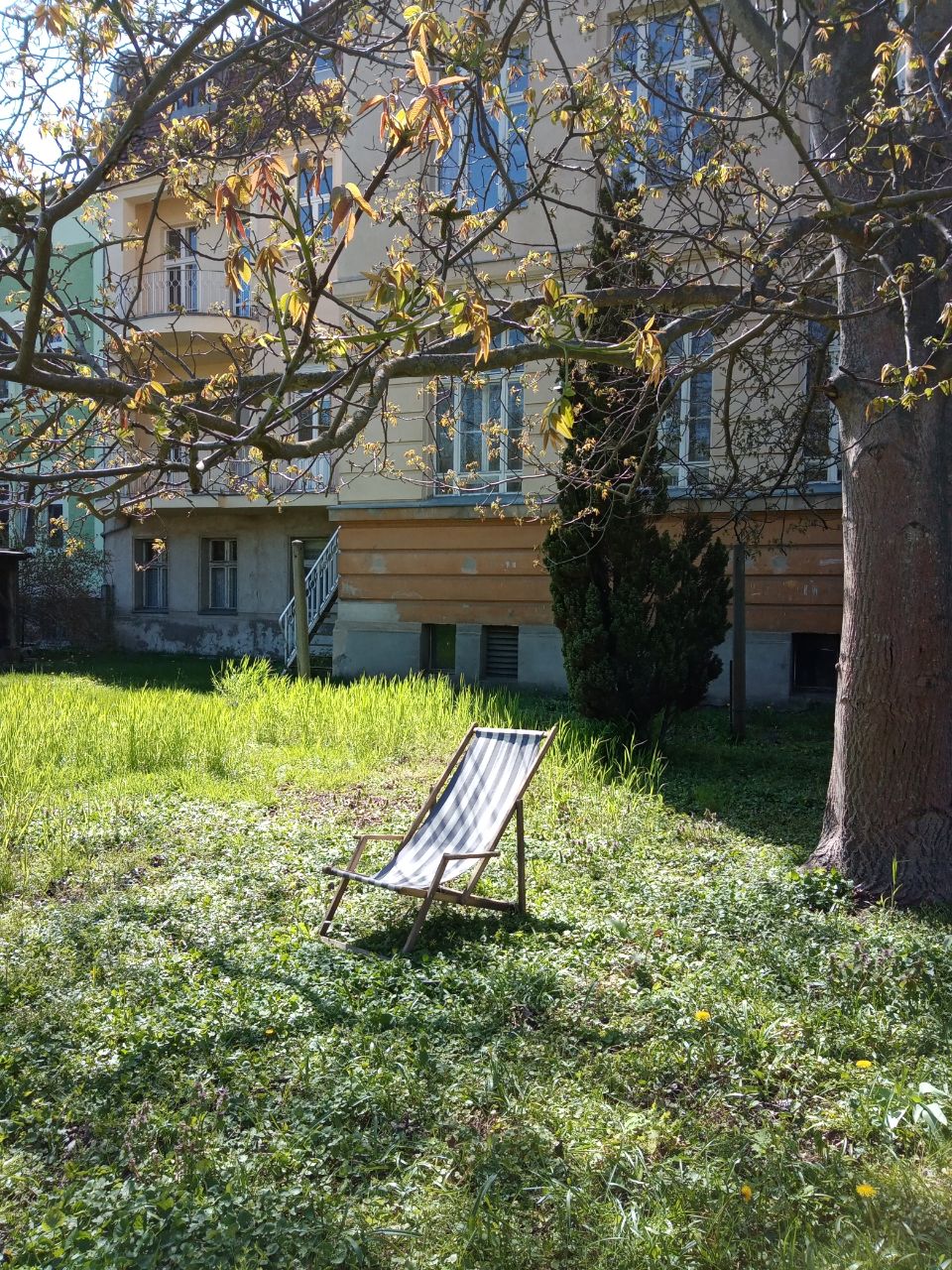 Coworking Space - Im Garten ist noch ein Plätzchen frei - Villa Digitalkultur