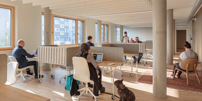 Coworking Spaces - Donauraum - Flex Desk - LakeFirst