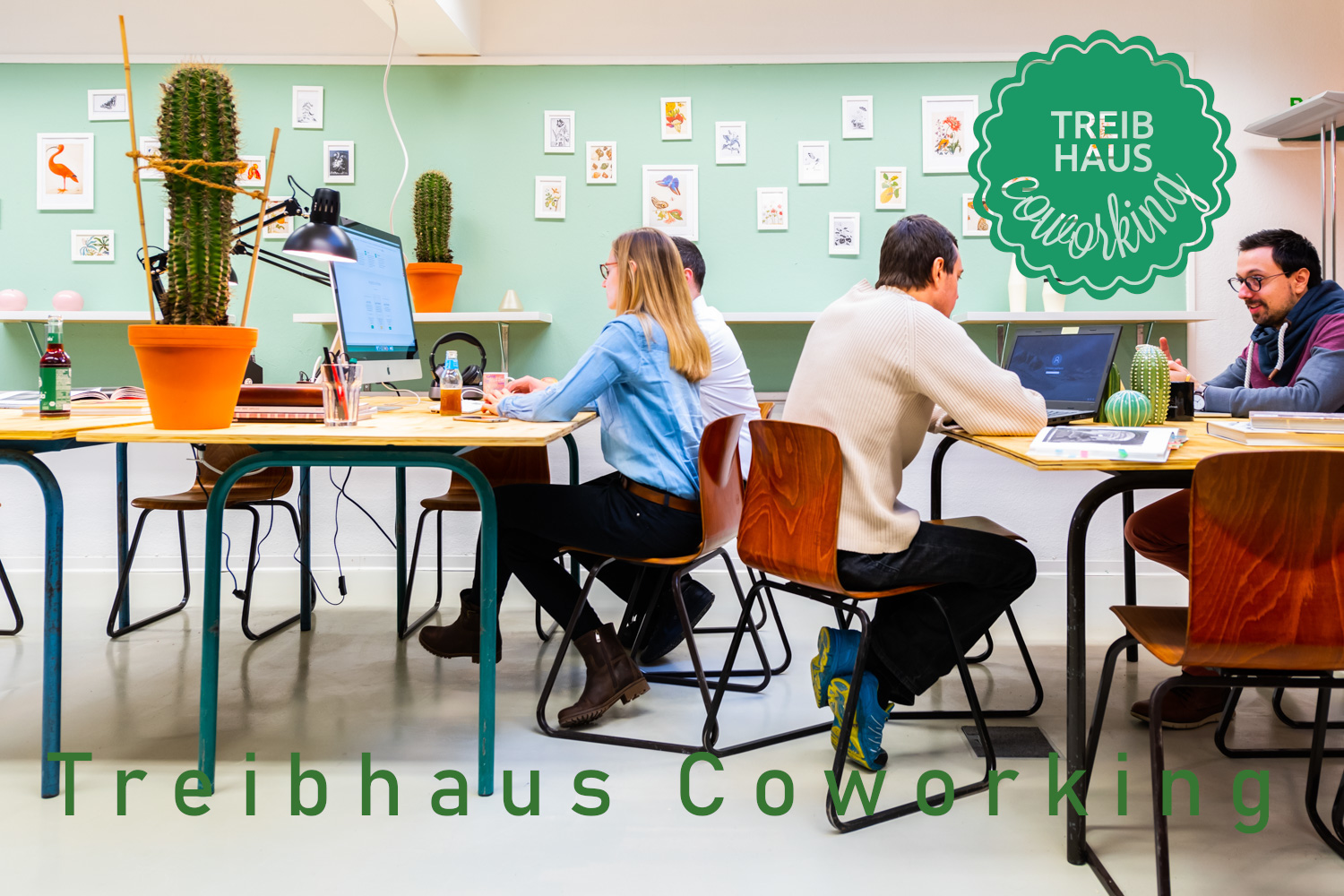 Coworking Space - Treibhaus Coworking