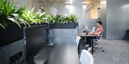 Coworking Spaces - Typ: Coworking Space - green and quite coworking space - The Drivery GmbH