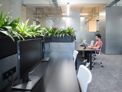 Coworking Spaces - feste Arbeitsplätze vorhanden - green and quite coworking space - The Drivery GmbH