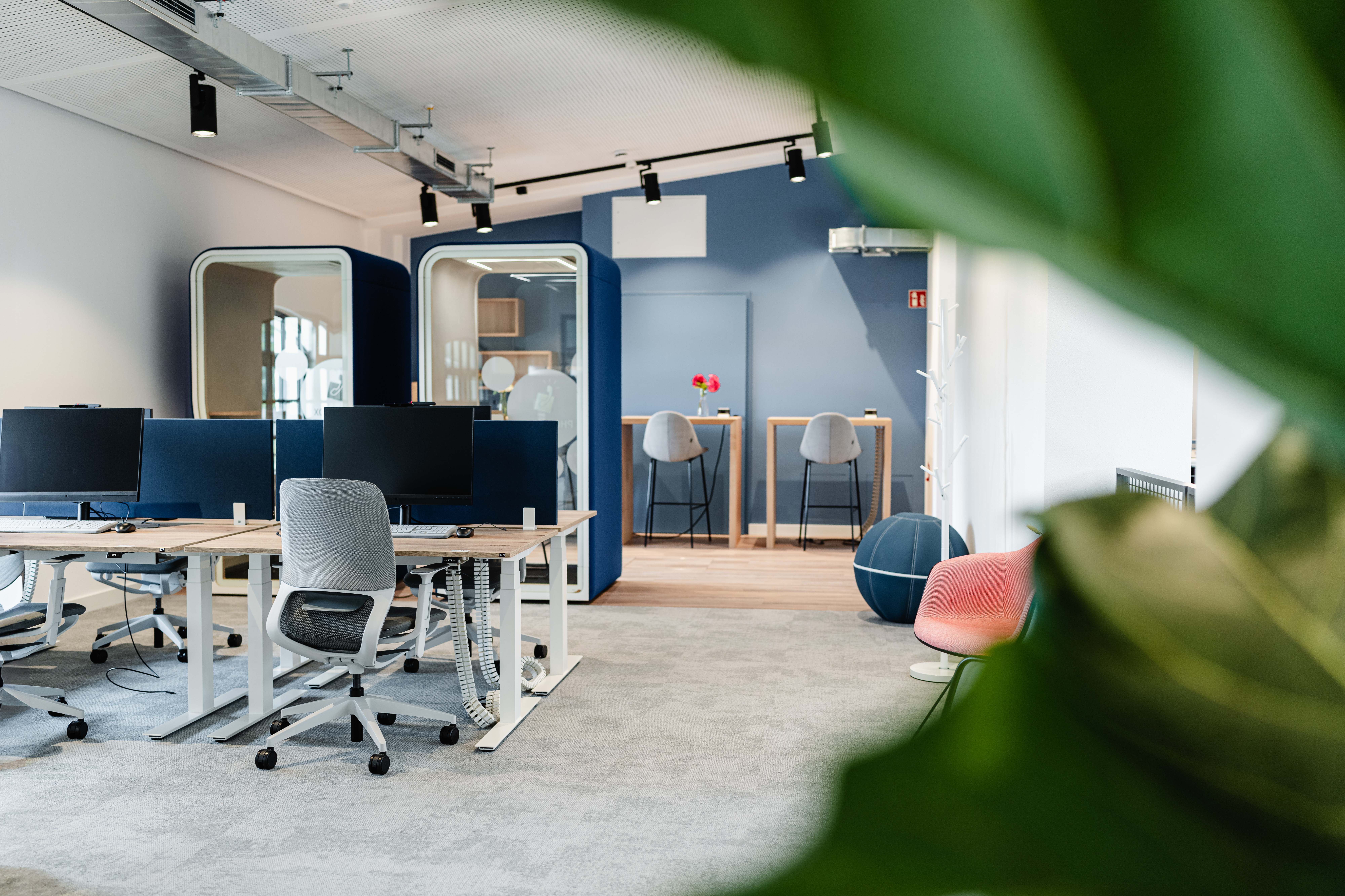 Coworking space - Co-Working - Satellit The Malt