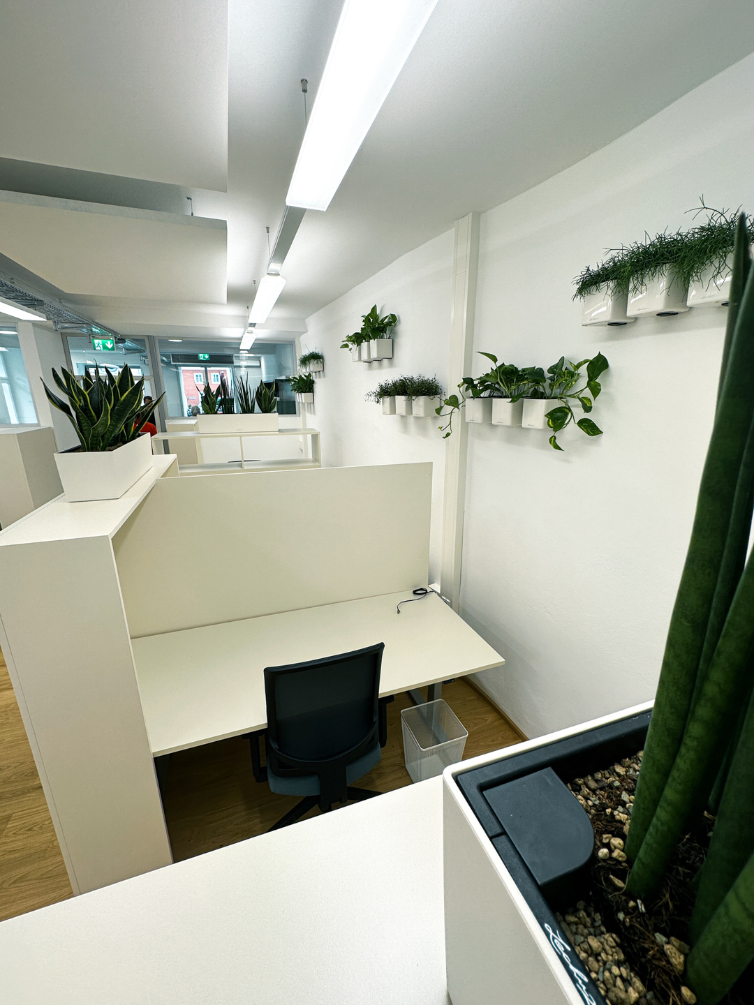 Coworking Space - Hauptplatz 12