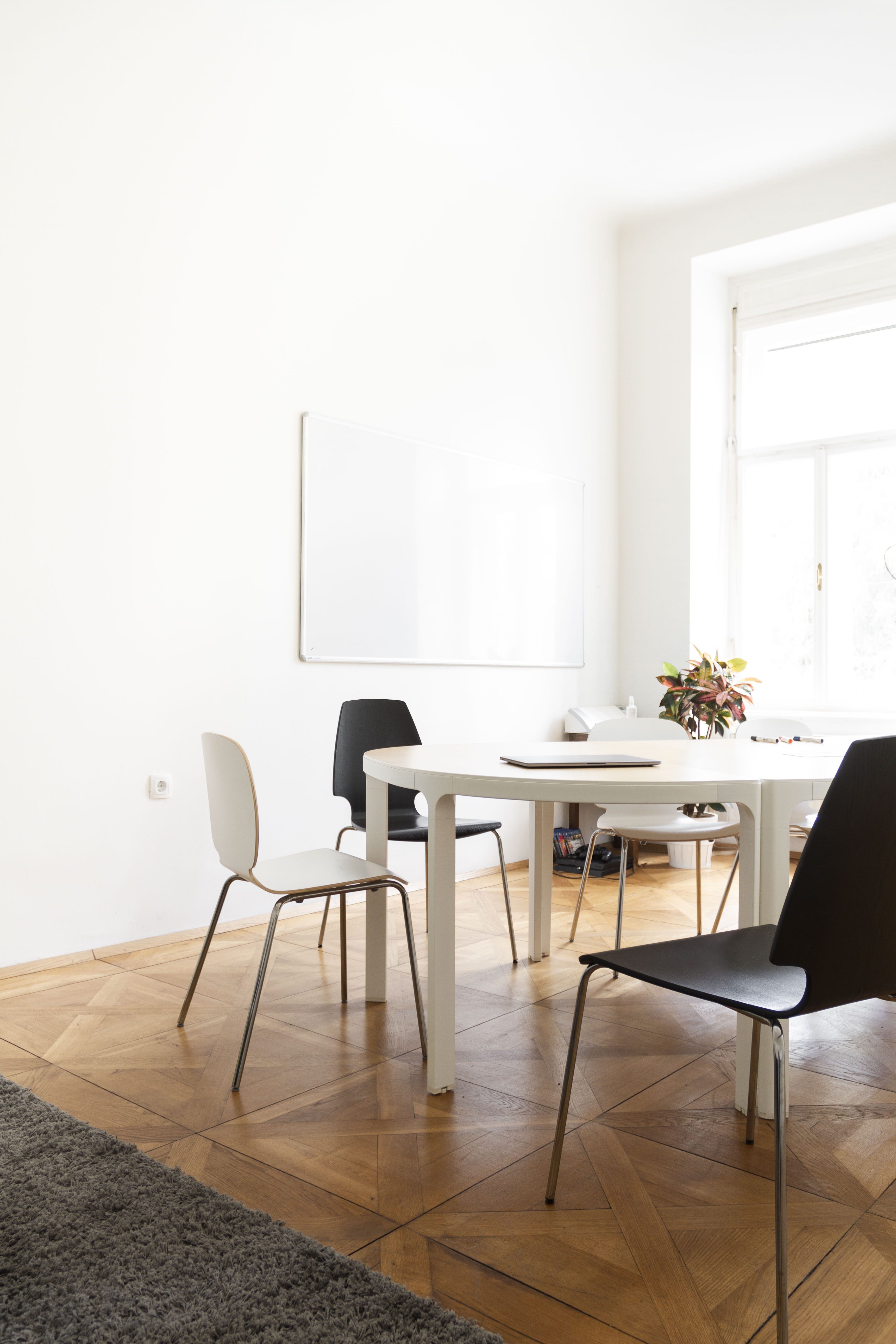 Coworking Space - Carrot & Coworking