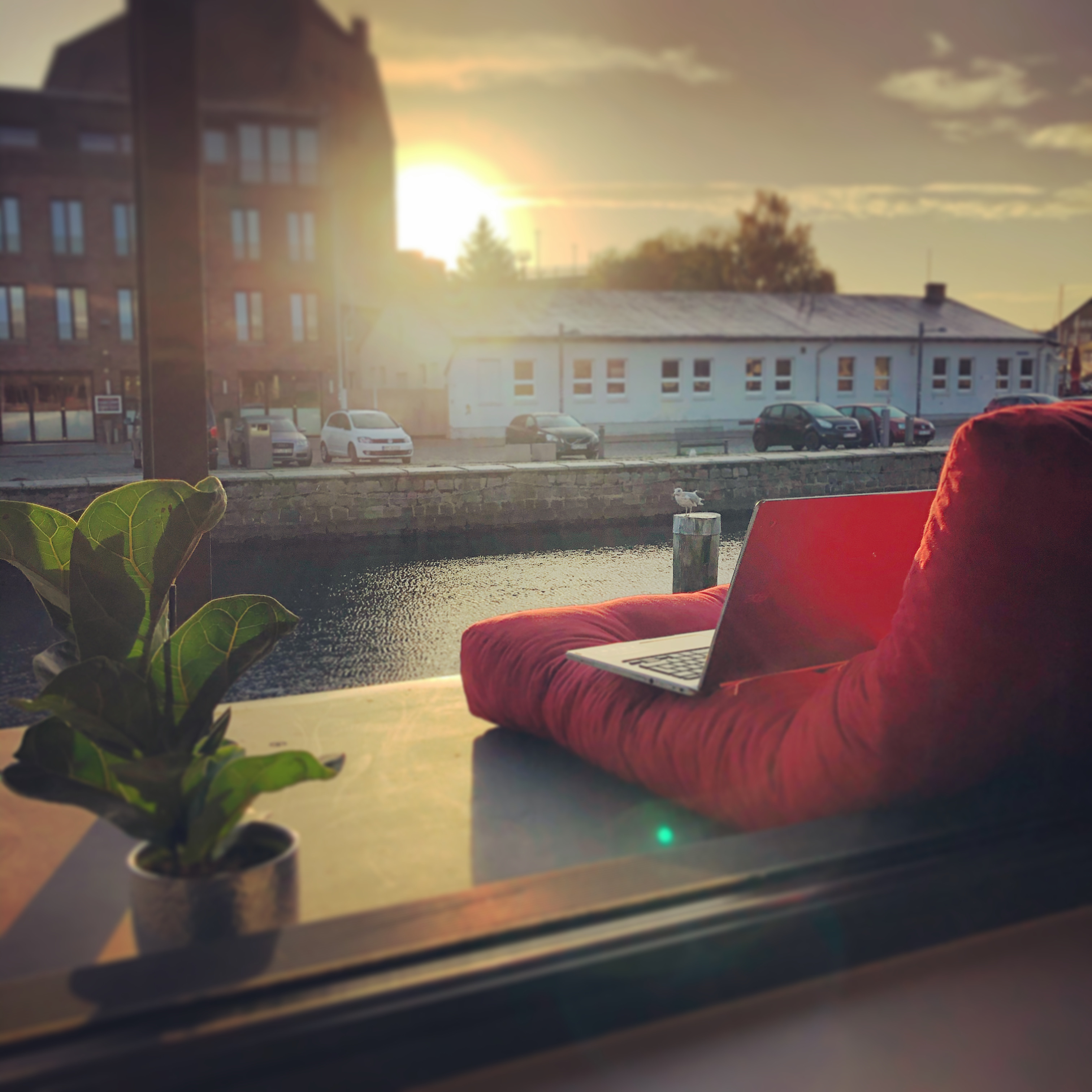 Coworking Space - Wir bieten auch ein ruhiges Plätzchen zum abschalten. In dem Wissen, dass auch unser Kopf mal eine Pause braucht, haben wir unseren Außenbereich einladend gestaltet. Direkt am Wasser gelegen lädt dieser Ort zum Verweilen ein, - Orangery Stralsund