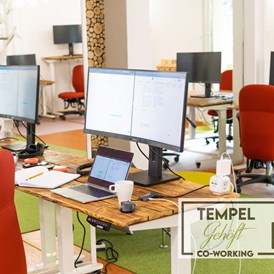 Coworking Space: Unser geteilter Arbeitsraum mit 12 Schreibtischen. 
34" Bildschirm, Steh-Sitz-Schreibtisch und geile Bürostühle sind bei uns der Standard. - Tempelgehöft - produktiv, gemütlich, grün