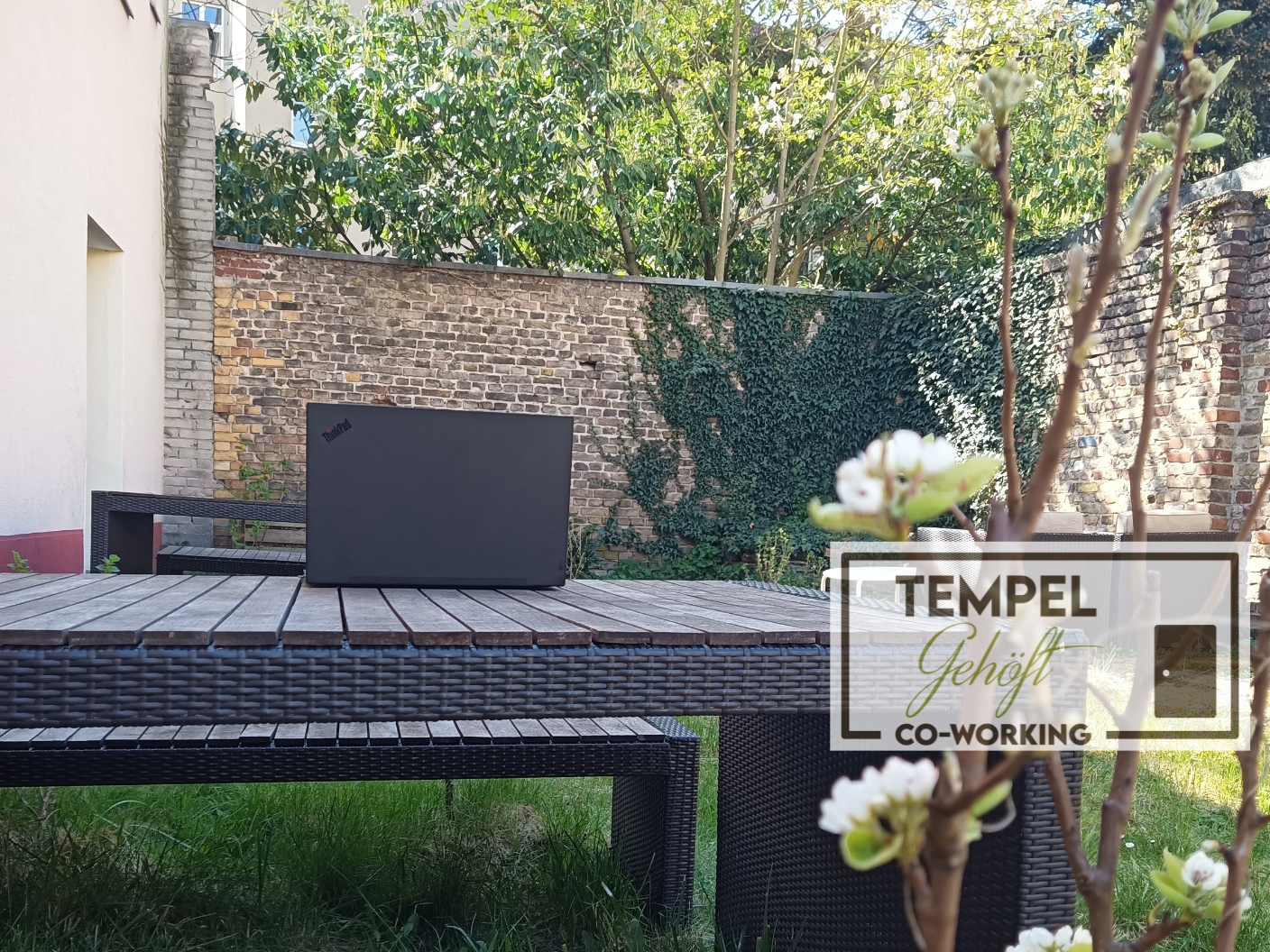 Coworking Spaces - Berlin - Im Garten arbeitet es sich bei schönem Wetter besonders gut. Im Sommer werfen wir hier auch gerne gemeinsam den Grill an. - Tempelgehöft - produktiv, gemütlich, grün