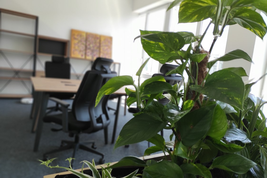 Coworking Space: Unsere Fixed Offices ... wenn es sein muss, kann man hier auch einfach mal die Tür hinter sich zumachen! - IdeenGeberHaus - Coworking Space on the Rhine