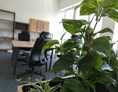 Coworking Space: Unsere Fixed Offices ... wenn es sein muss, kann man hier auch einfach mal die Tür hinter sich zumachen! - IdeenGeberHaus - Coworking Space on the Rhine