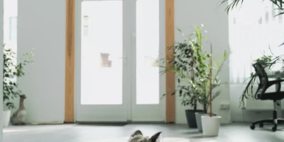 Coworking Spaces - Brandenburg Süd - P3A coworking