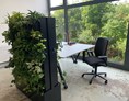 Coworking Space: Fixdesk mit Blick ins Grüne - Coworking Kemnath