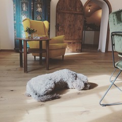 Coworking Spaces - Salzburg - Zammworkerei in der Tauglerei