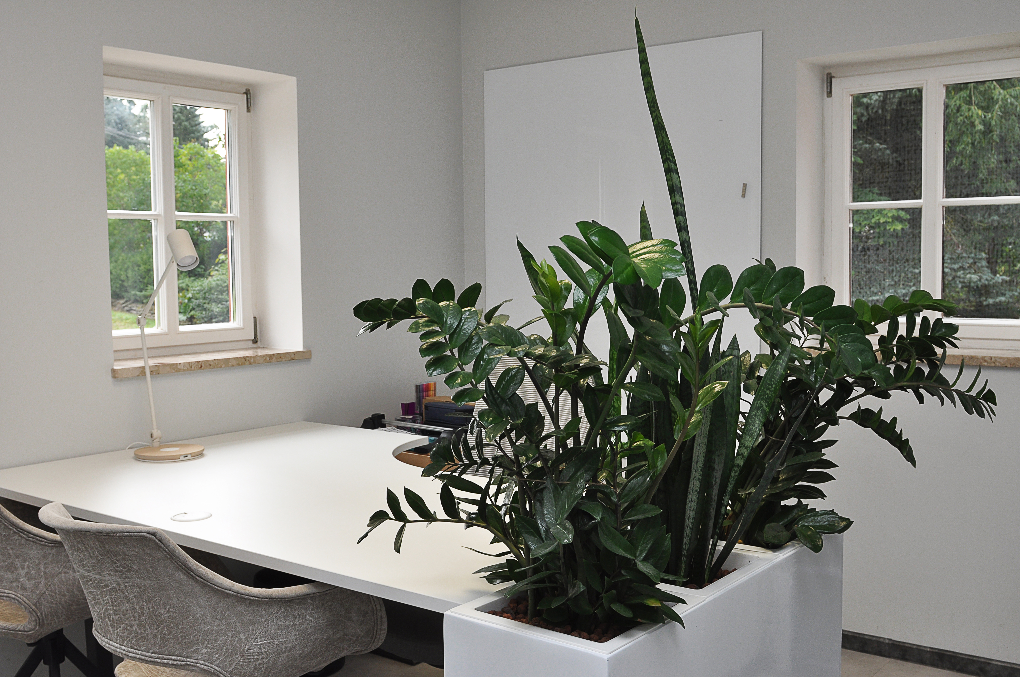 Coworking Space: RAUM - "IMPULSE" (Ansicht 2) - Coworking und Tagungen im Huthaus Freiberg: Flexible Arbeitsräume für Start-ups, Kreative, Unternehmen, Bildung & Wirtschaft