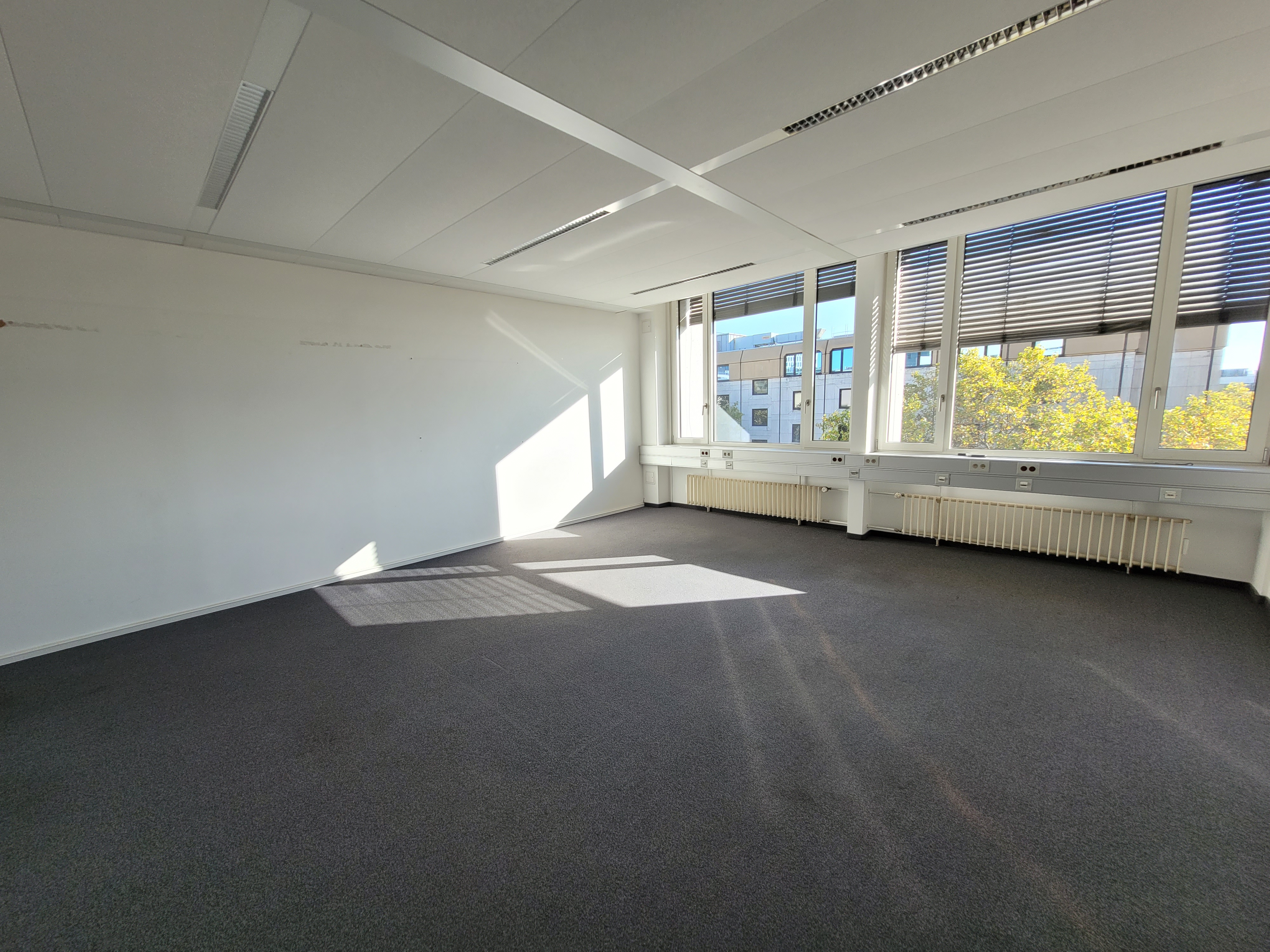 Coworking Space: Ranke office space