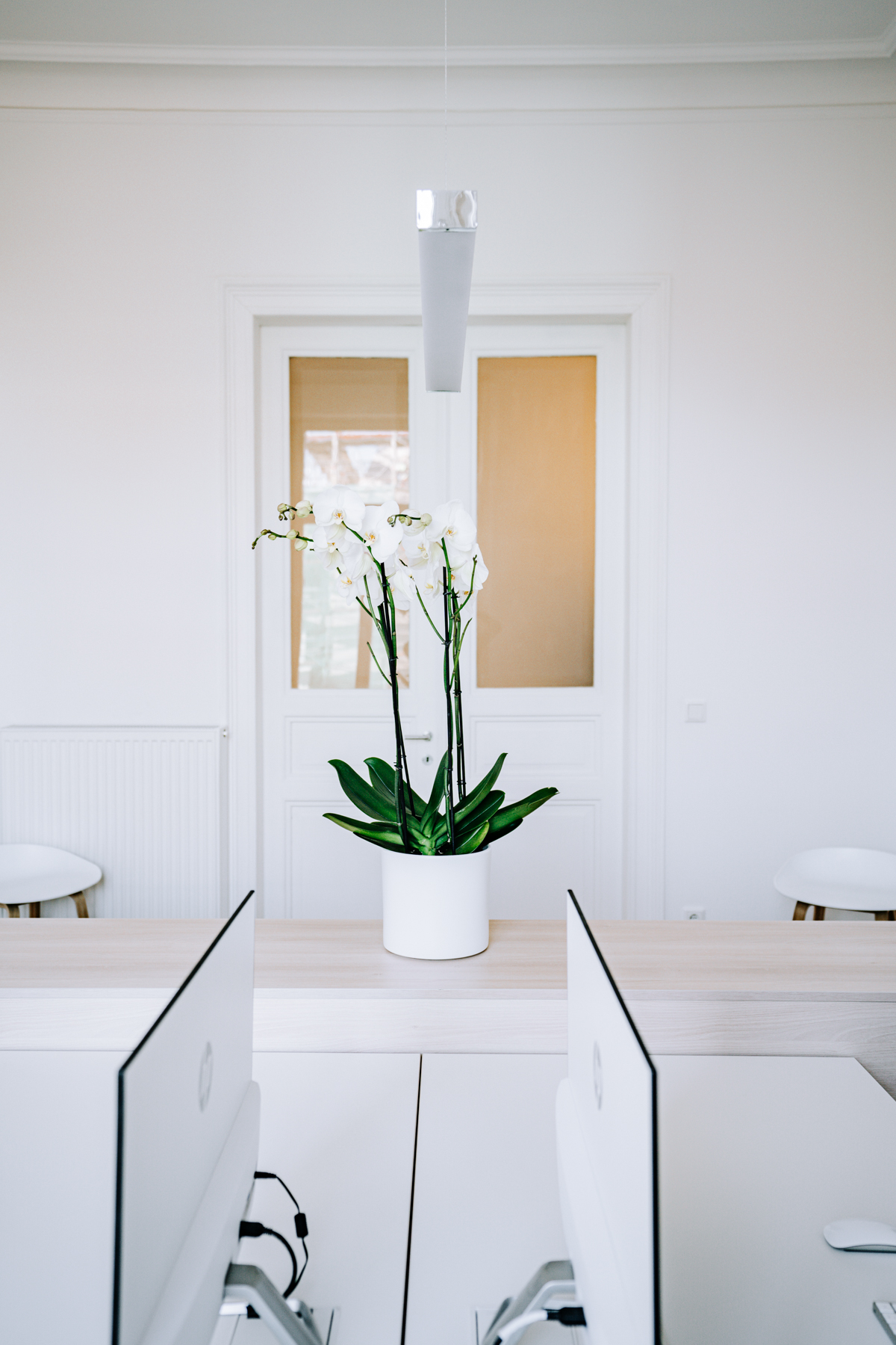 Coworking Space: Mesh. | Working Space. - MESH. | NEUES CO-WORKING OFFICE AUF DER WILHELMSTRASSE.