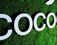 Coworking Space: The COCOON.SPACE
