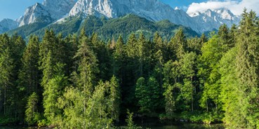 Coworking Spaces - Typ: Coworking Space - Zugspitze - Lakeview Office