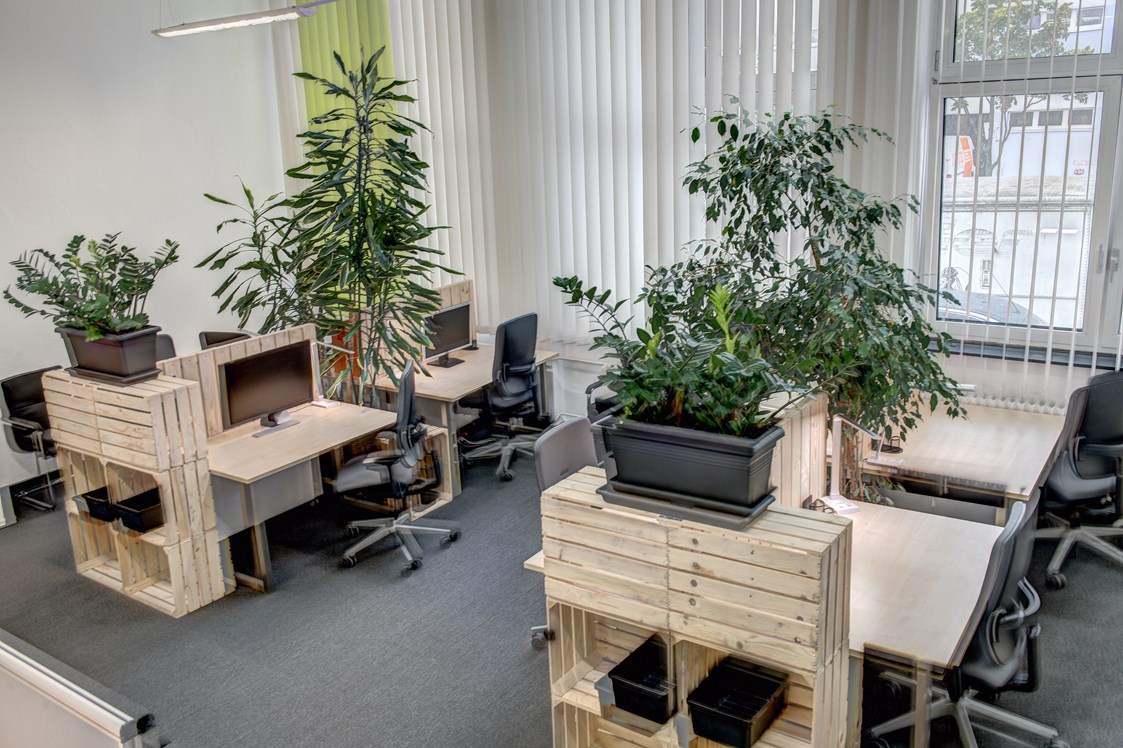 Coworking Space: Co-Working - Coworking, Büro, Schreibtisch