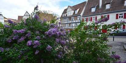 Coworking Spaces - Typ: Shared Office - Baden-Württemberg - Tolle Lage in der Sindelfinger Altstadt - dieleute CoWorking Space