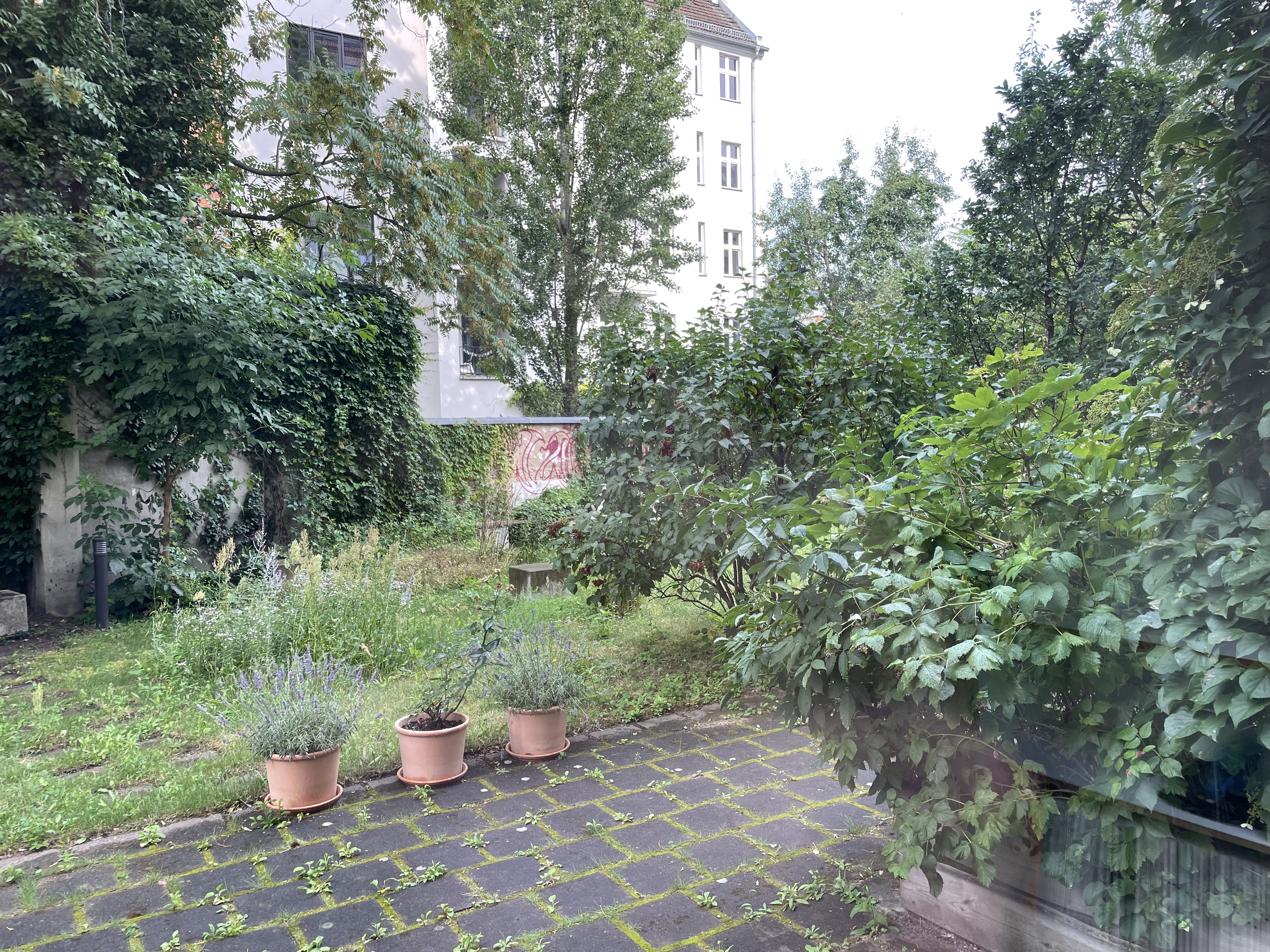 Coworking Space: Garten, rechts Seite - inom - zentral mit Garten