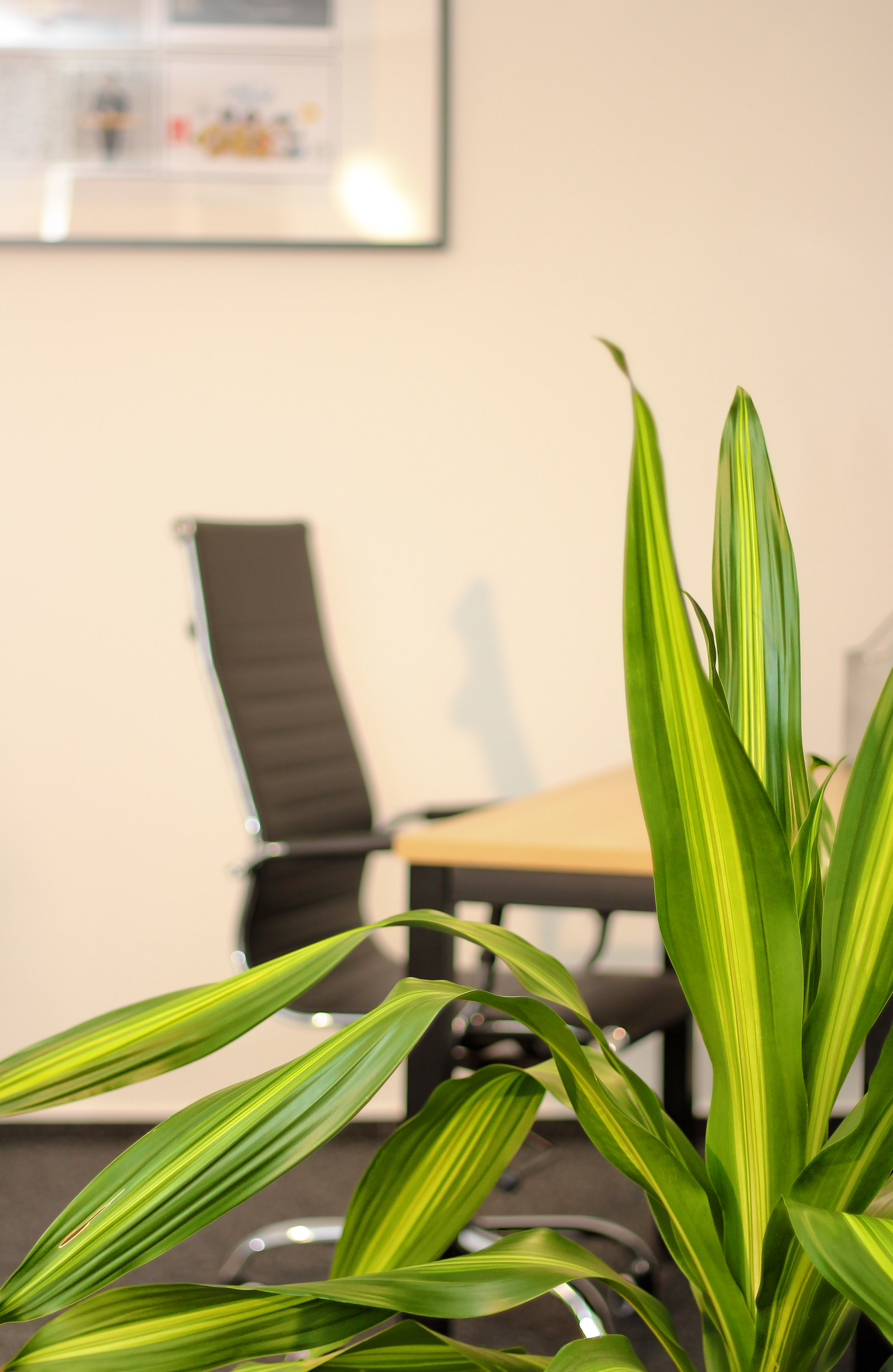 Coworking Space: NB Business Center