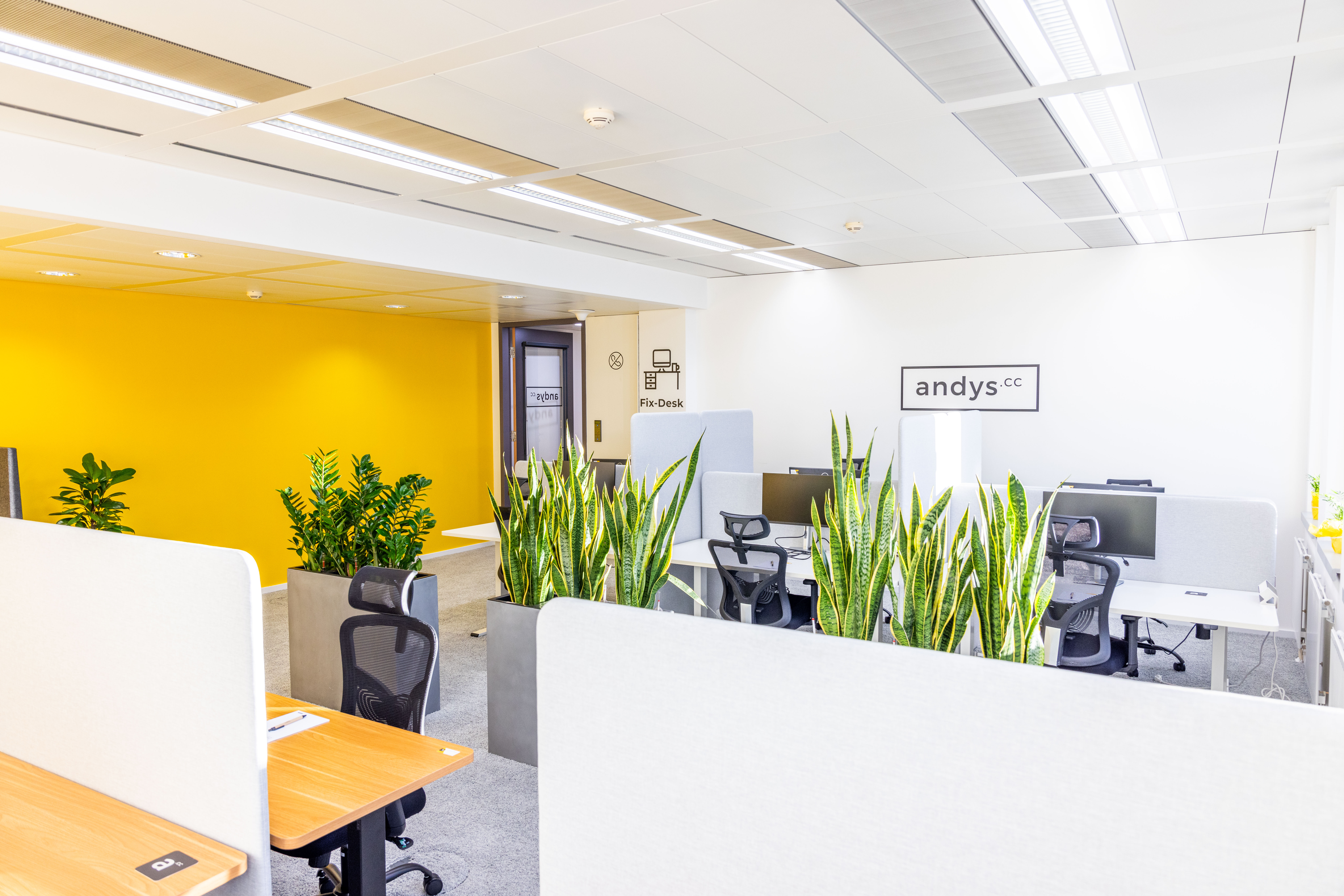 Coworking Space: Fix Desk Bereich - andys.cc Wagenseilgasse