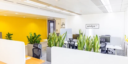 Coworking Spaces - Wien - Fix Desk Bereich - andys.cc Wagenseilgasse