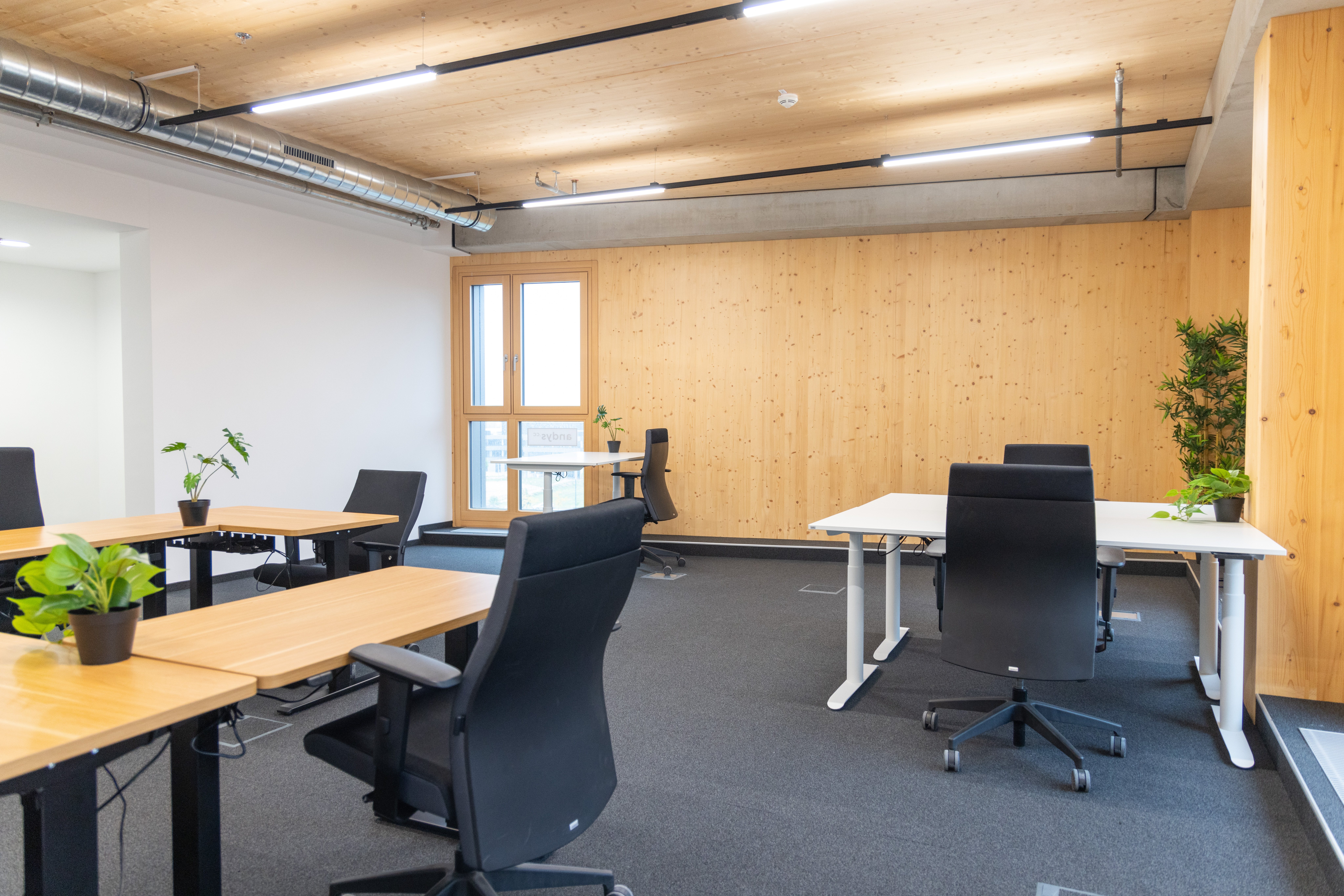 Coworking Space: Open Space - andys "HoHo"