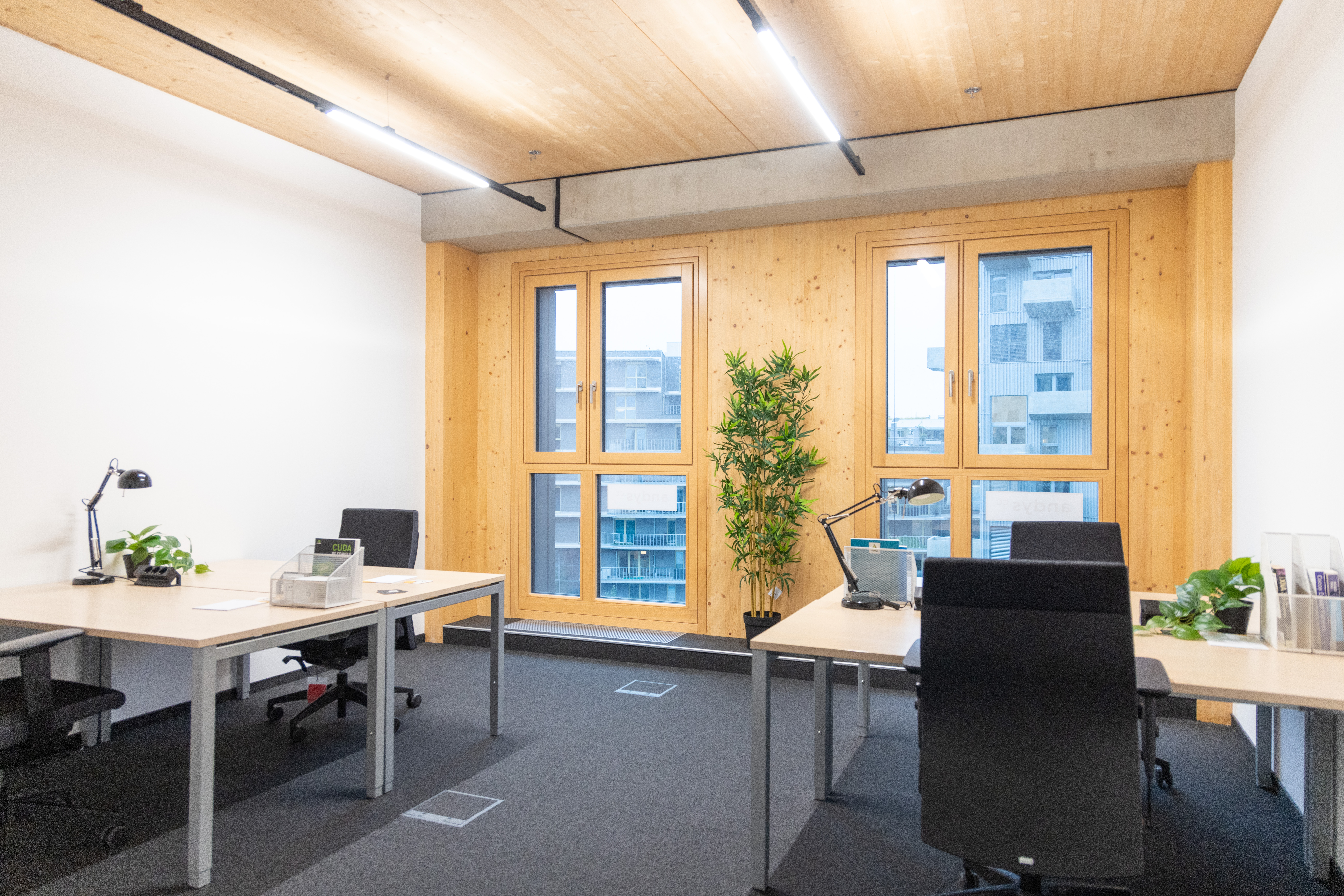 Coworking Space: Private-Office - andys "HoHo"