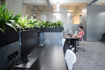 Coworking Space: green and quite coworking space - The Drivery GmbH