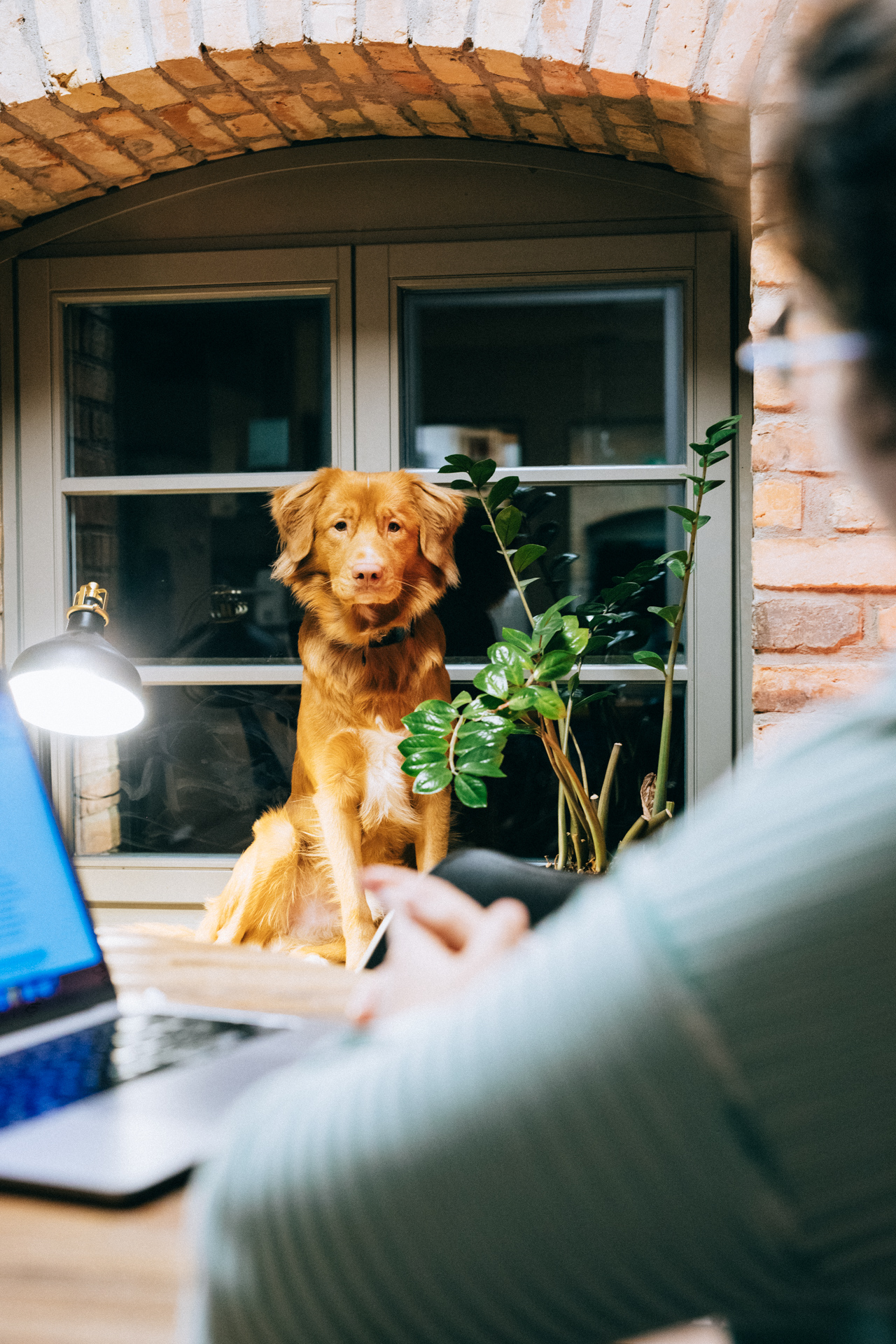 Coworking Space: Co-Working Space - funkhaus Co-Working Space