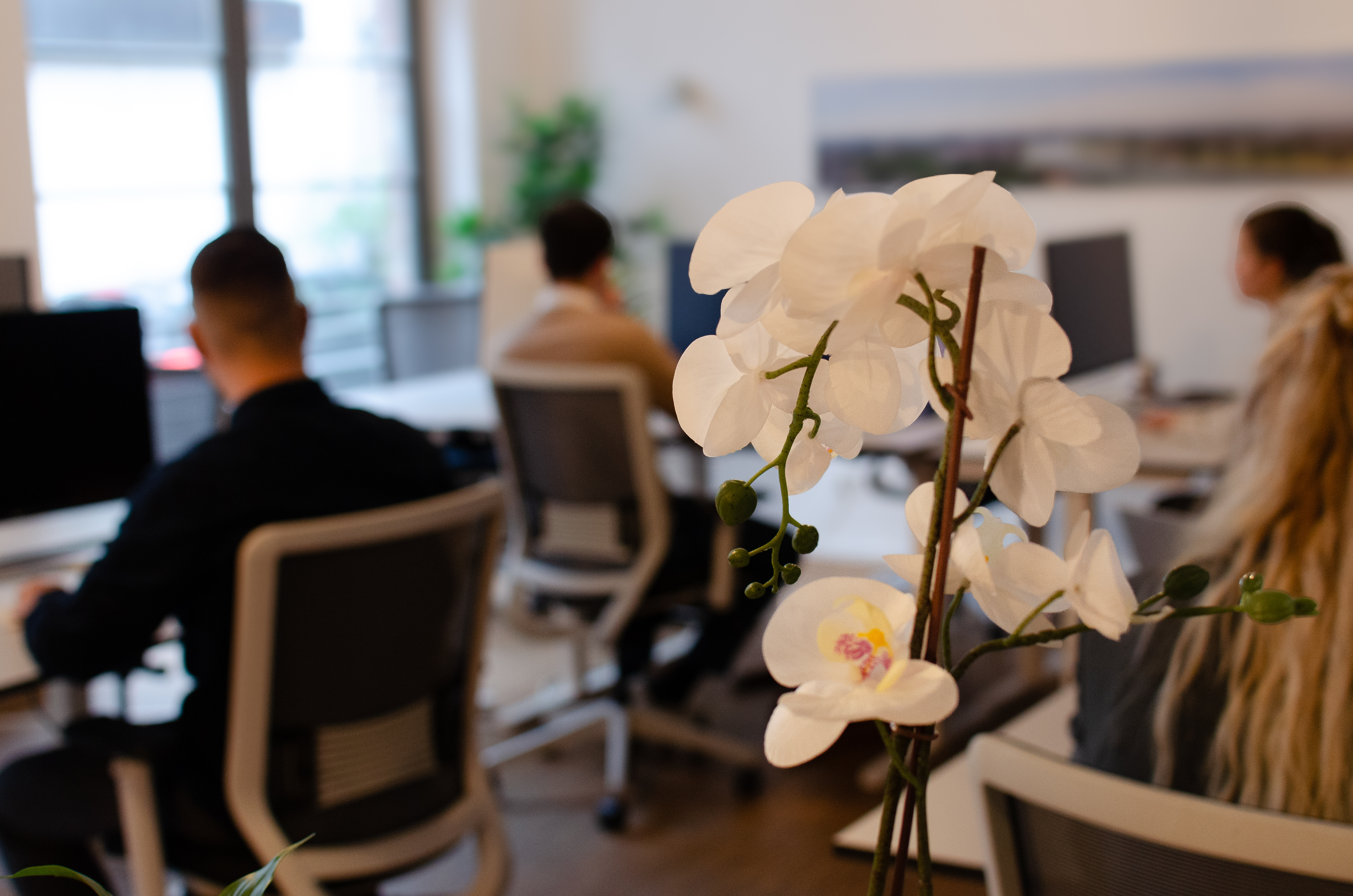 Coworking Spaces - Köln, Bonn, Eifel ... - Unsere Arbeitsplätze - #cocovestment Loft