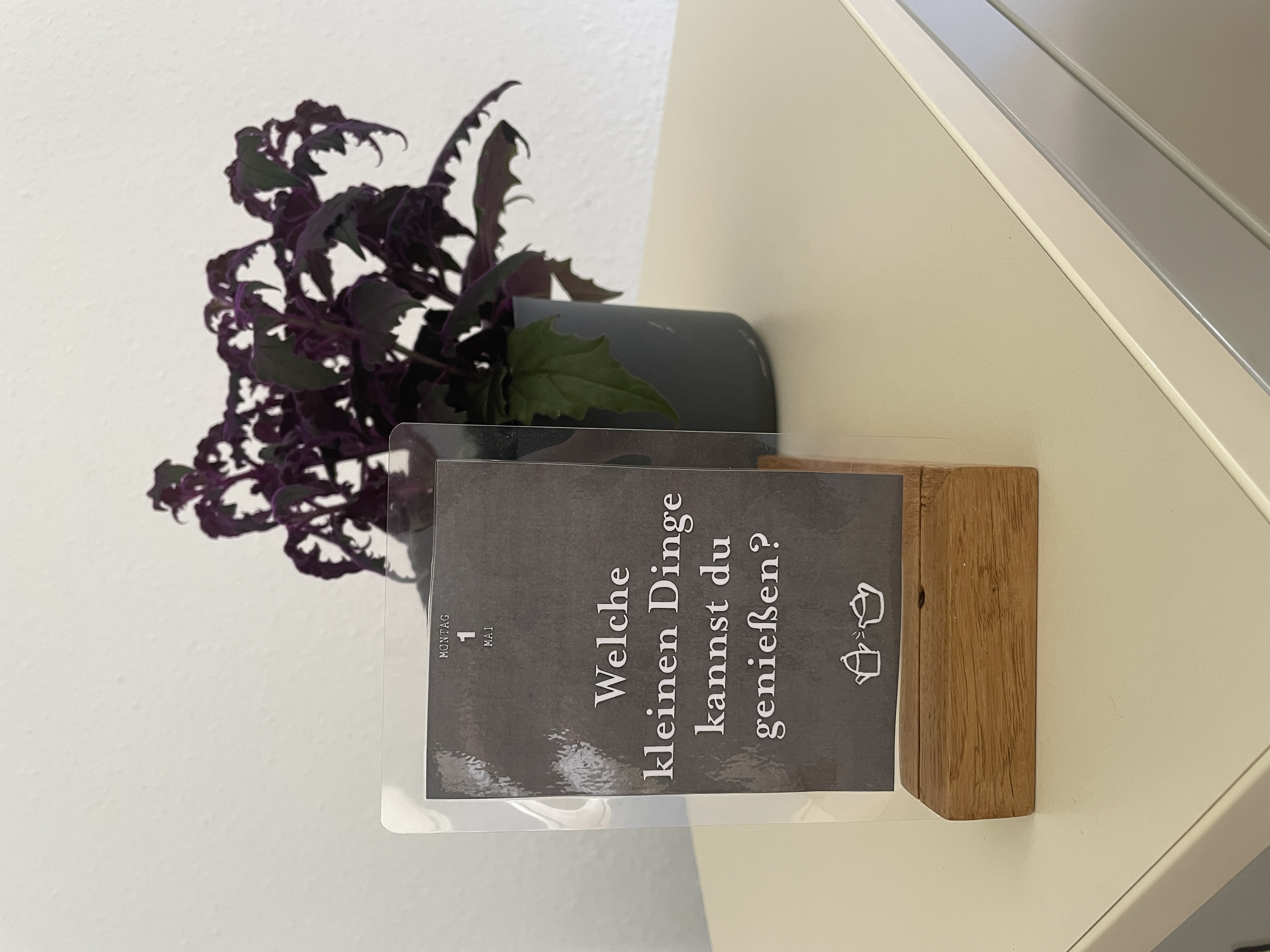 Coworking Space: Haus der guten Gespräche