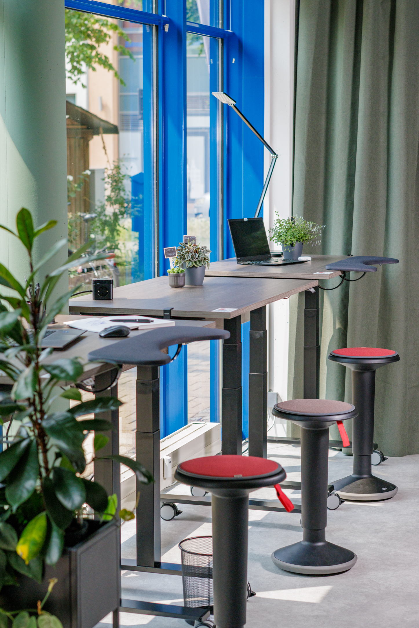 Coworking Spaces - Typ: Coworking Space - Ostseeküste - SHOWOFF Clean Desk 2 - SHOWOFF