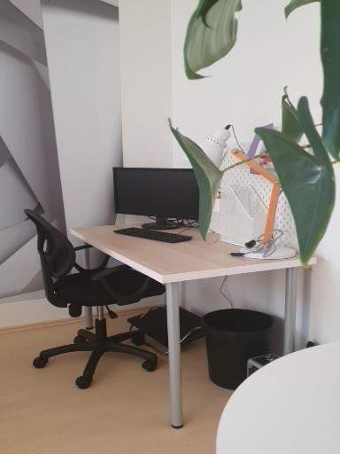 Coworking Space: Elblicht Magdeburg