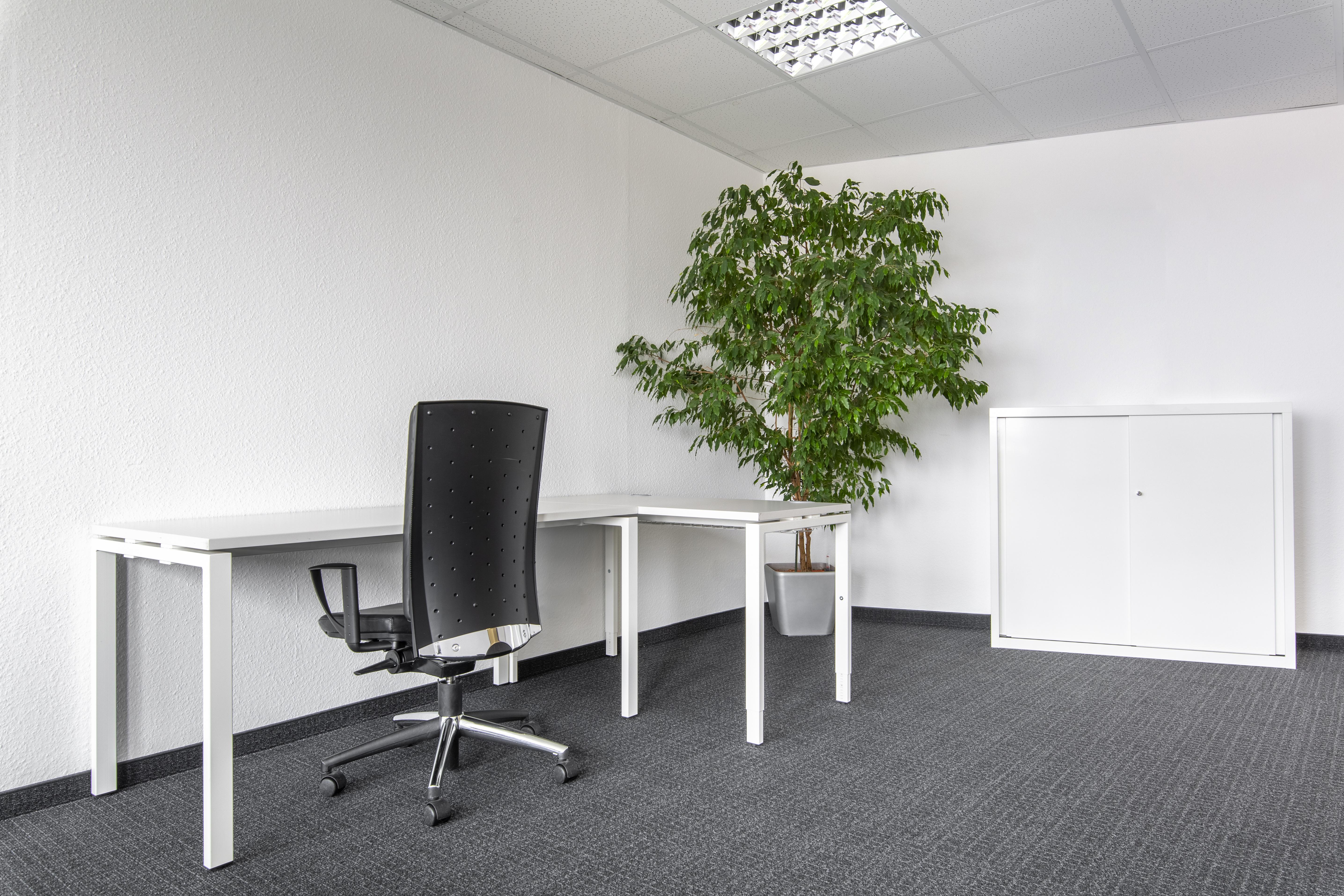 Coworking Space: Meetings, Arbeit und Zusammenarbeit in unseren professionellen Business Center in HQ Plaerrer