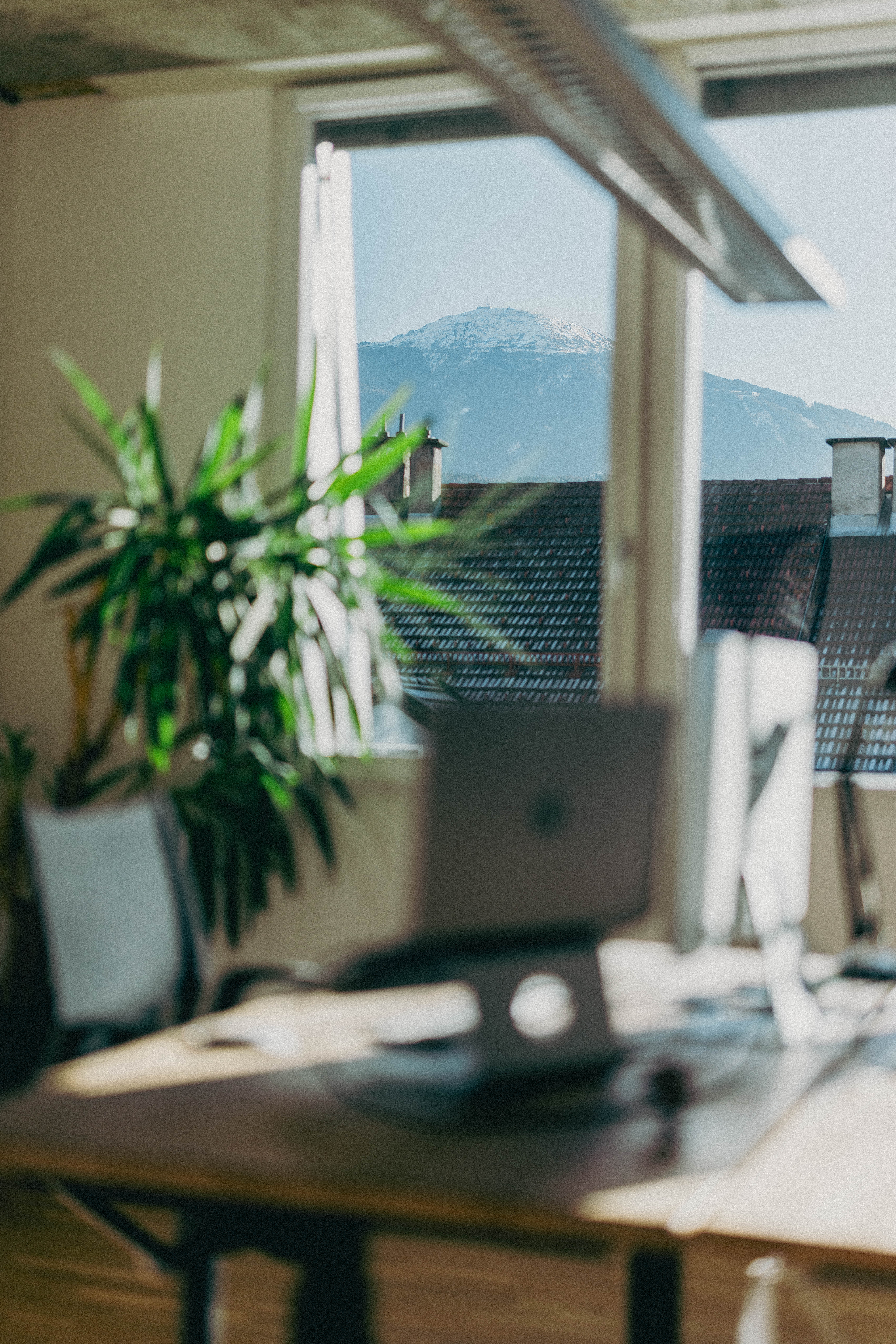 Coworking Space: CREATIVE OFFICE SPACE