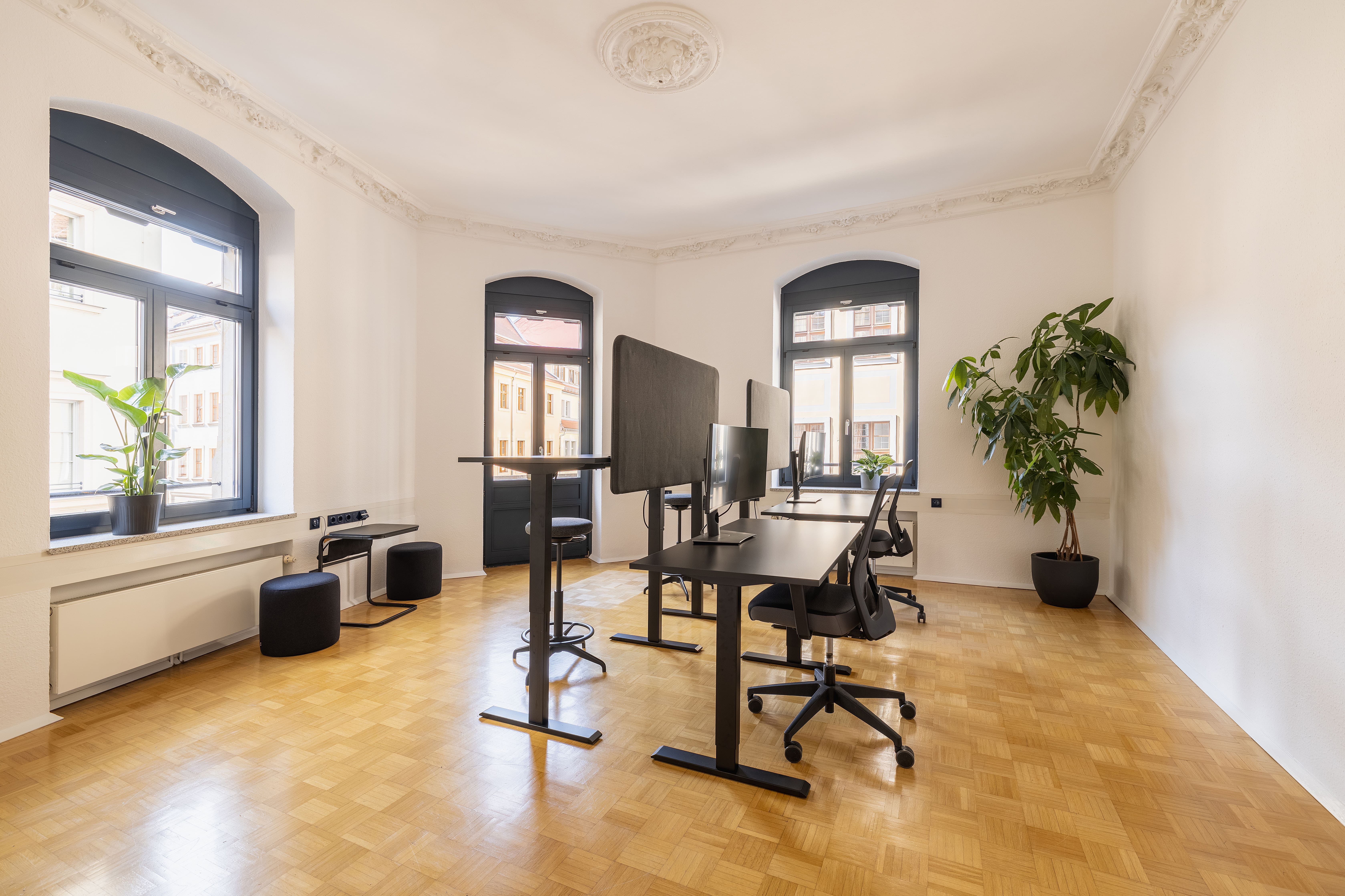 Coworking Spaces - feste Arbeitsplätze vorhanden - Sachsen - Co.Work.Space mit mehreren Arbeitsplätzen und ruhiger Arbeitsatmosphäre - Co.Work.Space Obergraben 10