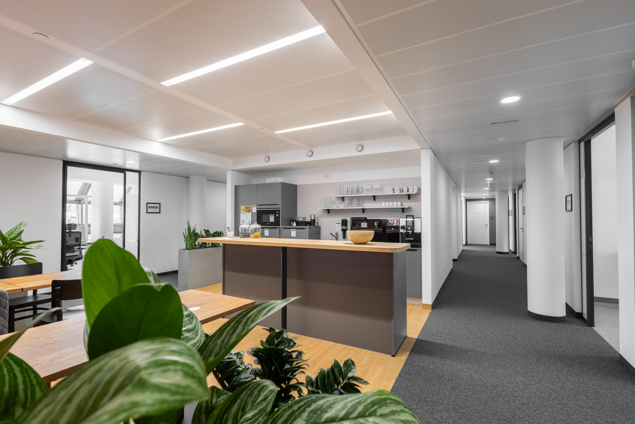Coworking Space: Küche - andys "Vio Plaza"