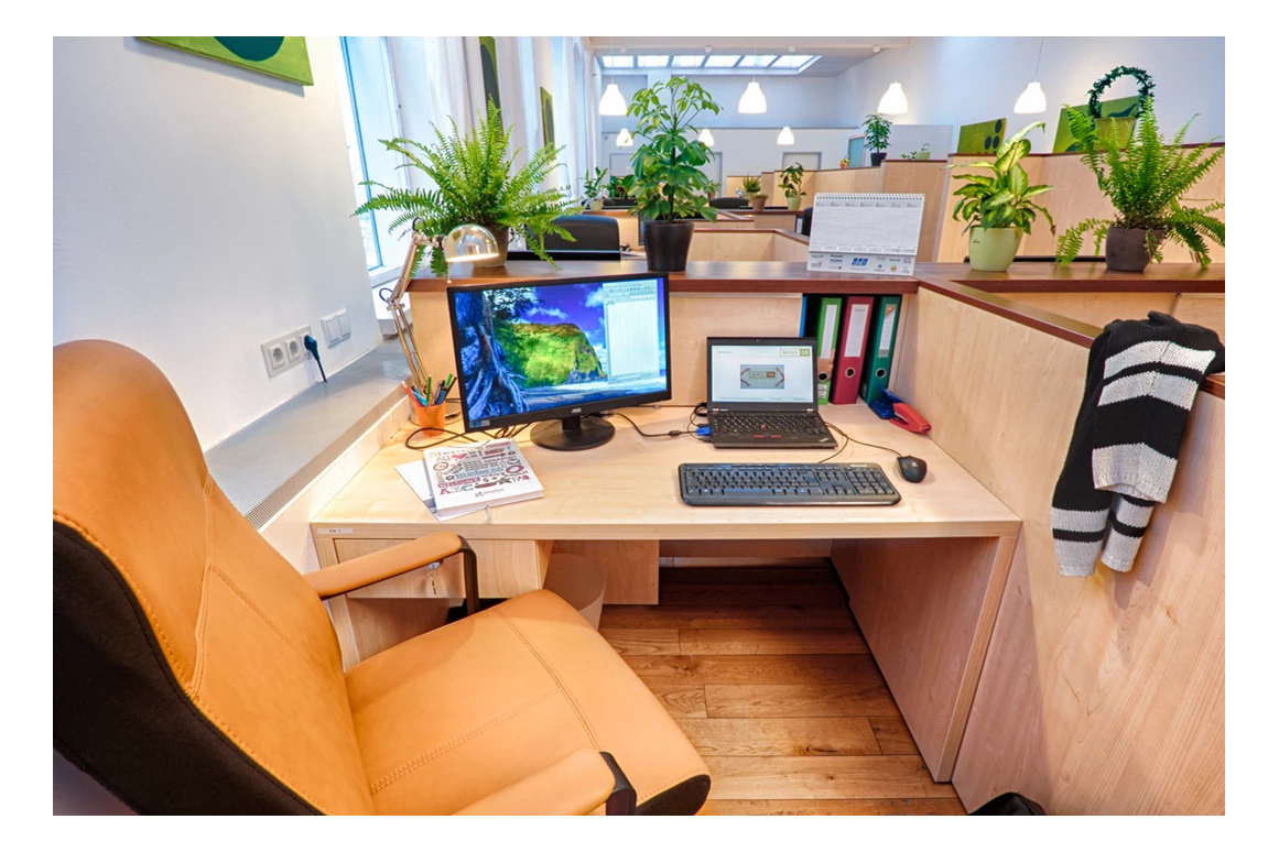 Coworking Space: Basis 08