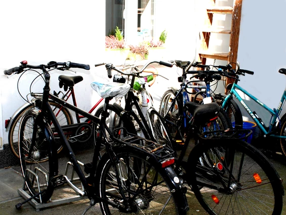 Coworking Space: Basis 08