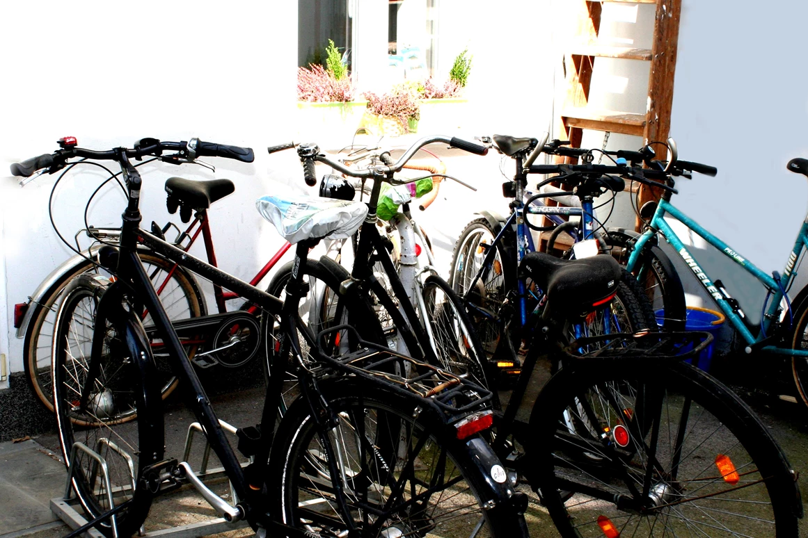 Coworking Space: Basis 08
