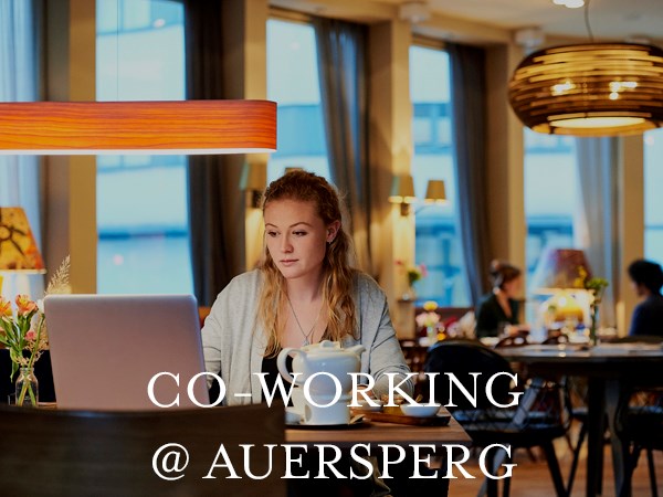 Coworking Space: Coworking Space Hotel & Villa Auersperg - A* Livingroom, Open Space - Hotel & Villa Auersperg